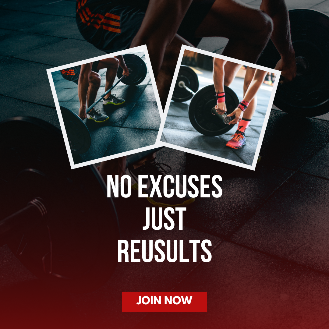 36 Done-For-You Fitness Courses Collection – PLR & MRR Included - Image 2